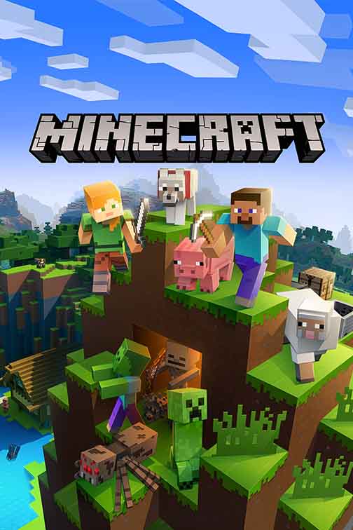 Minecraft server hosting